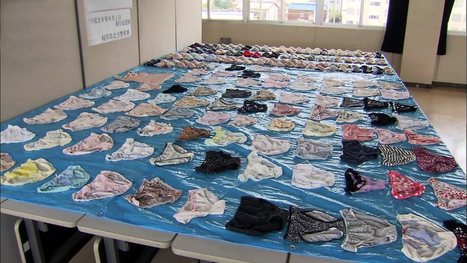 Dozens of pieces of women's underwear were found in the raid