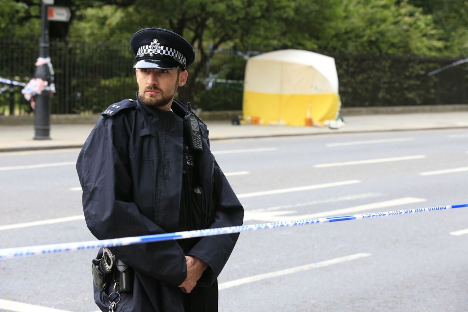  Last night's killing of a 60-year-old woman came hours after news an elite unit of anti-terror cops would be released onto London's streets