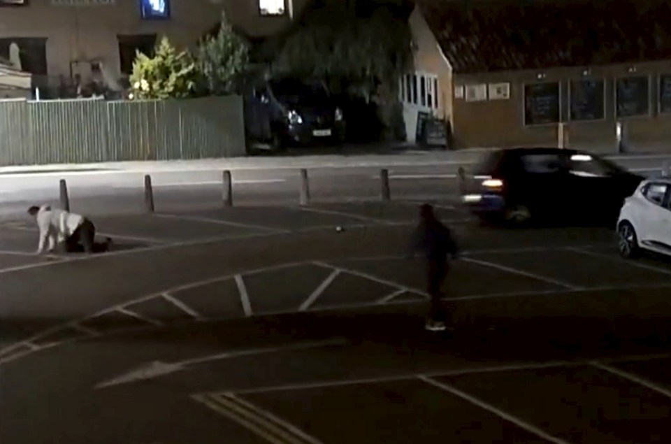  The shocking footage was released by cops following the hit and run on July 23