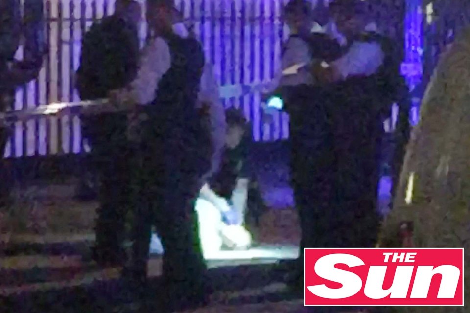  Horrific scenes ... cops begin investigation into knife attack