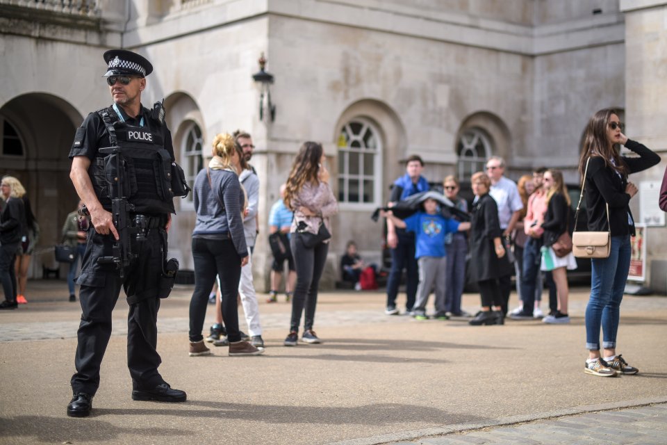  There were armed cops at Horse Guards Parade in London today amid a heightened police presence across the capital's tourist hotspots