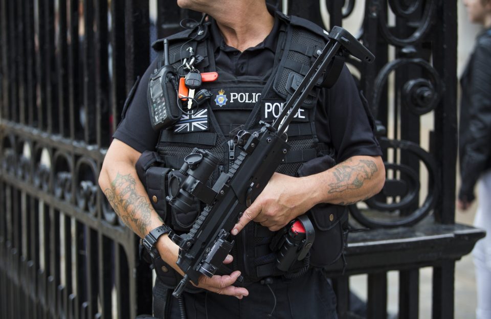  Officers holding semi-automatic rifles were based near Horse Guards Parade today, as detailed emerged of the alleged Norwegian-Somali killer who went on a rampage in Russell Square last night