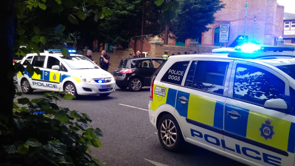  Police said they seized a large amount of cannabis from the stolen vehicle