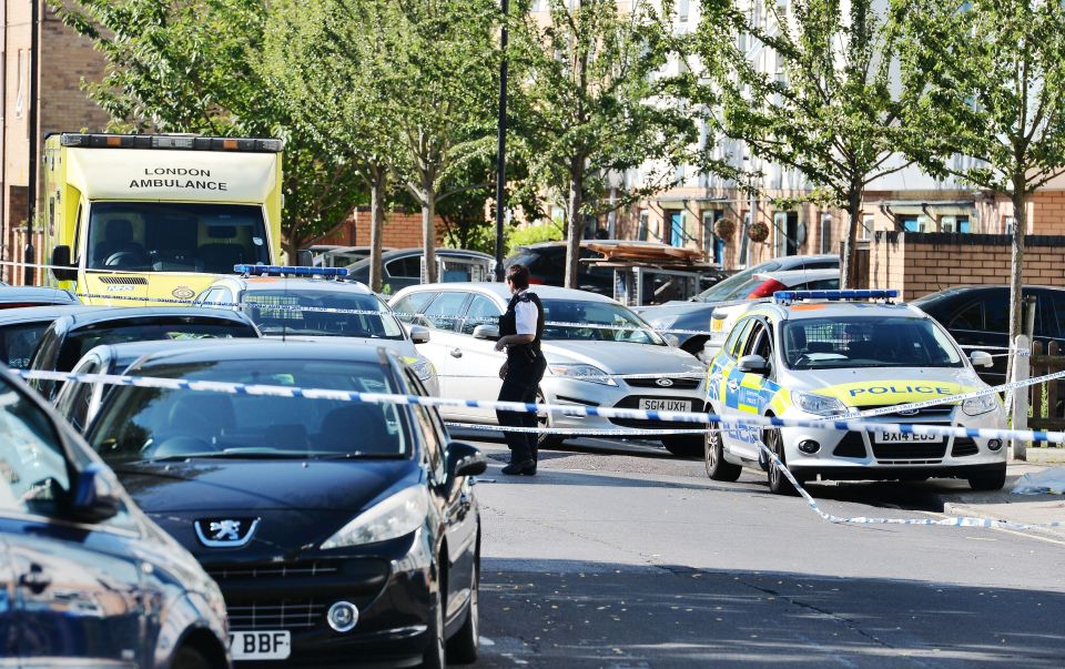 Cops cordoned of the area after discovering the boy with knife wounds to his upper body