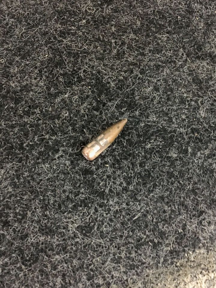  A second bullet has been found near the equestrian centre