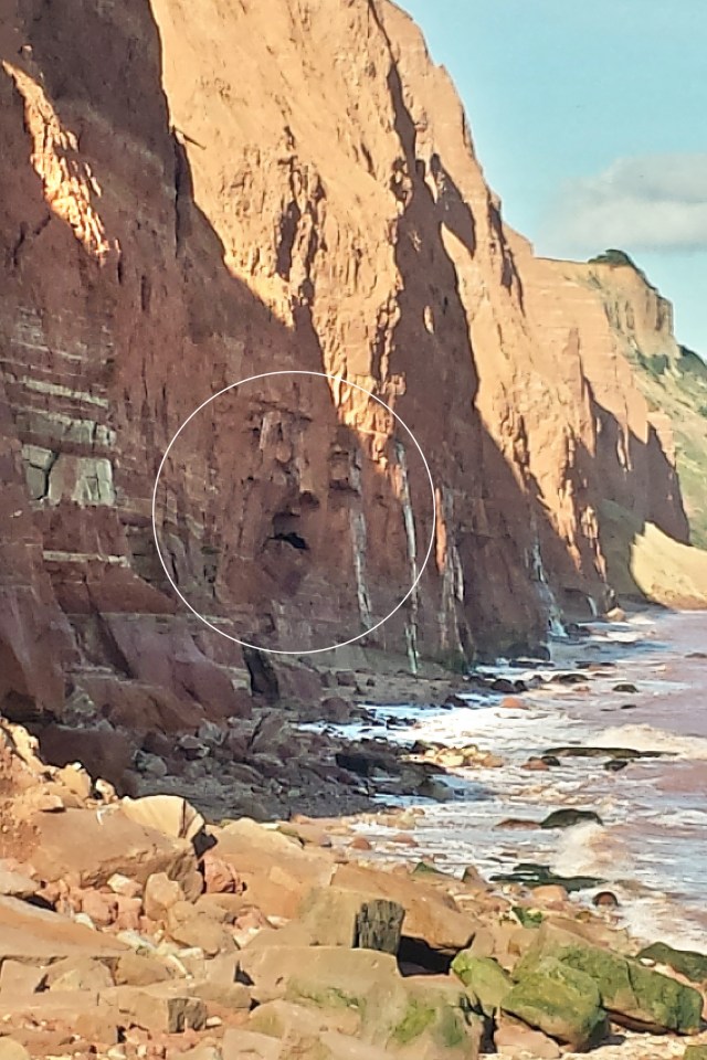 The spooky face has emerged in a cliff face on the Devon coast