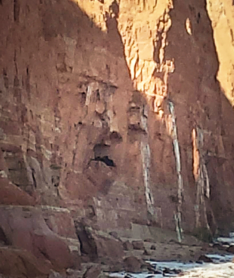 The cliffs at Sidmouth are notorious for crumbling with the council currently investigating ways to prevent it