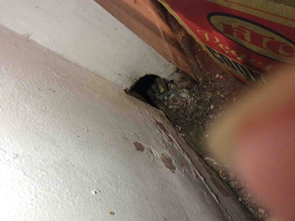  The Chinese takeaway was covered in rats' droppings