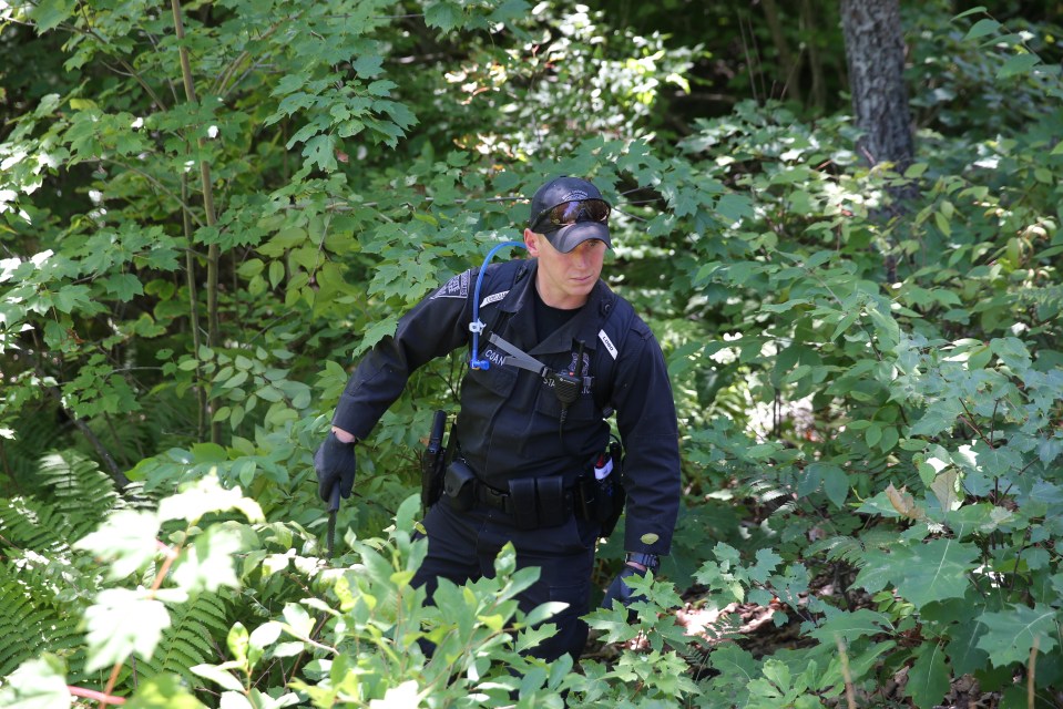  State police search an area of the woods off Boylston Street in Princeton, USA