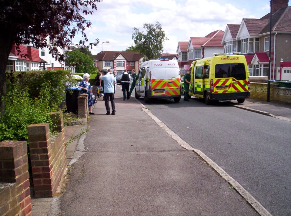  An elderly neighbour was just feet away when the young man was stabbed in the torso with an 'enormous' blade