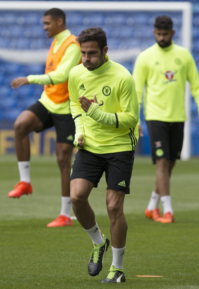  Cesc Fabregas cut his holiday short in order to impress new boss Antonio Conte