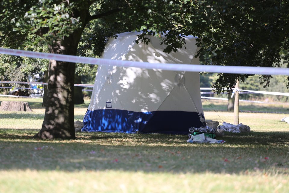  A tent has been erected over the body of a man found in Hyde Park this morning