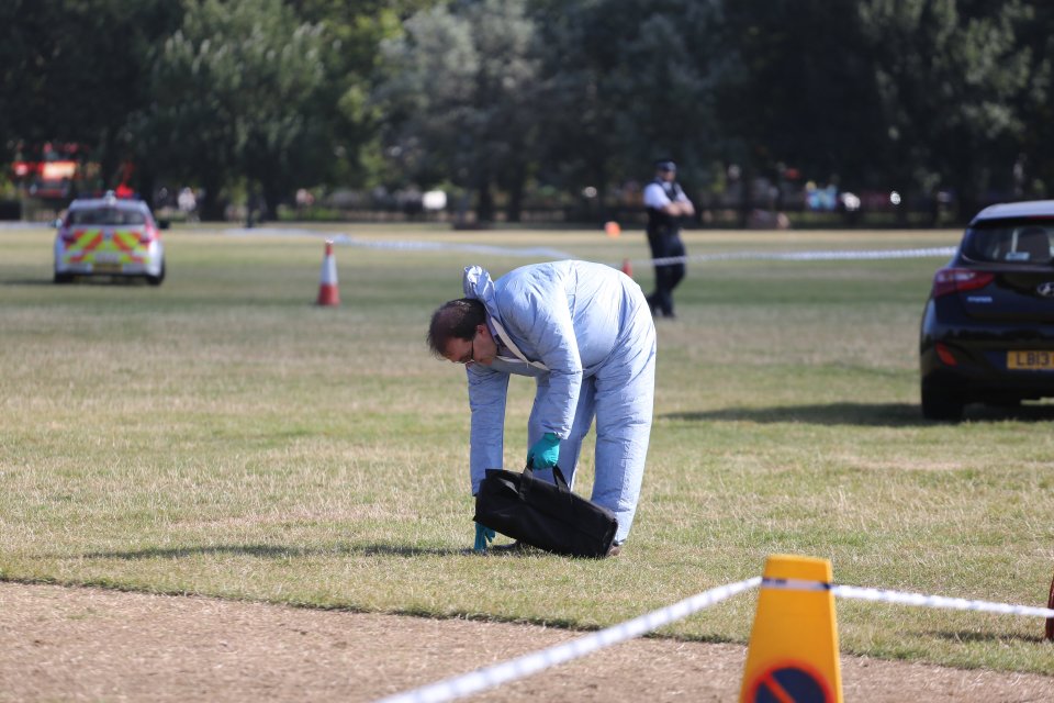  Forensics teams aided by police dogs have been working at the scene this morning