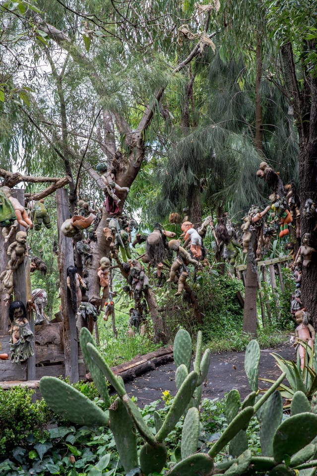  Julian Santana Barrera tried to ward off the evil spirit of a drowned girl by nailing hundreds of dolls to trees near his home