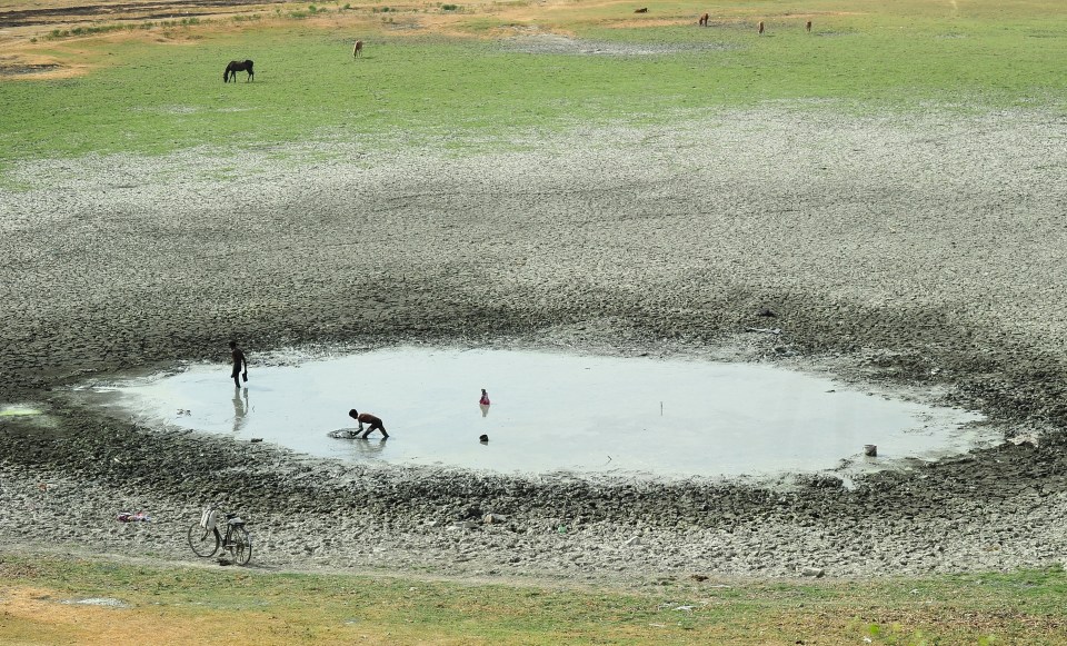  The heat has seen water reserves dry up, hitting rural communities hard as their crops fail in the deadly conditions