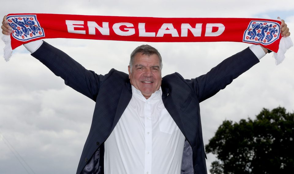  England chief Allardyce had suggested he might want experienced men like Terry