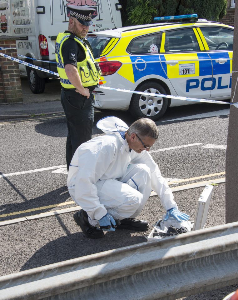  Suspect in custody ... police have arrested a 49-year-old homeless man on suspicion of murder