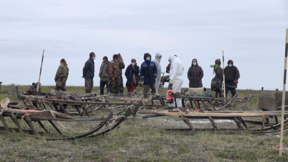  Disinfection of the territory in the area of anthrax outbreak, Yamal