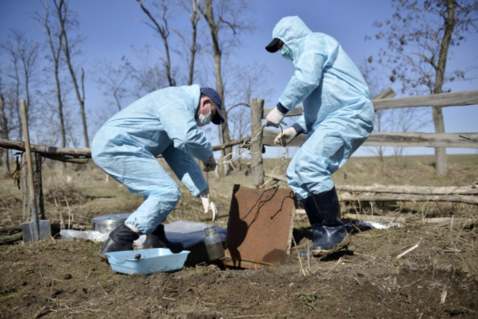 And now scientists are worried the disease might be making a comeback after infected bodies in Russia are thawing 