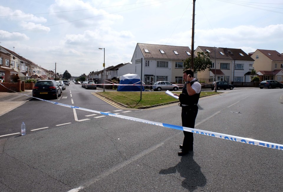  Witnesses say the victim of a brutal stabbing in Hayes, west London, was stabbed in the back three times before running for his life