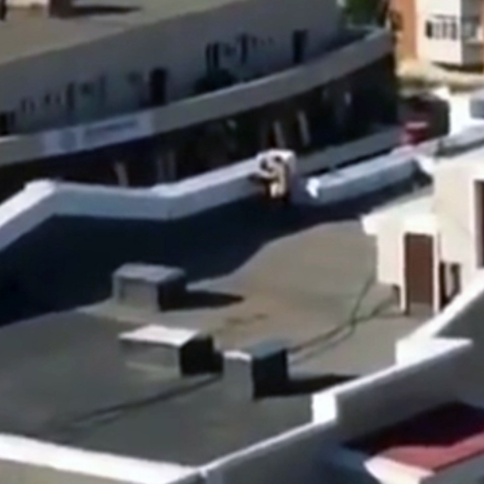  The couple foolishly thought their roof romp could not be seen