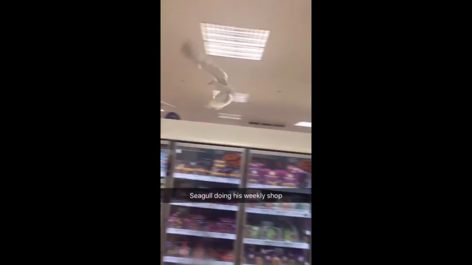  A Tesco worker said the incident was the "highlight of my night"