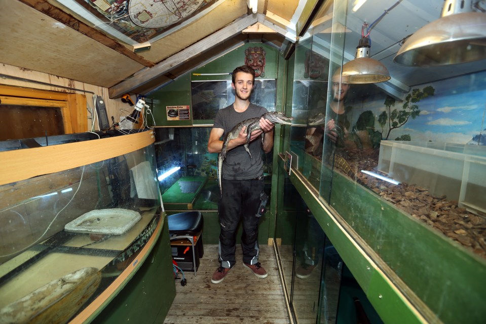  Jordan has turned his shed into a home for the reptiles