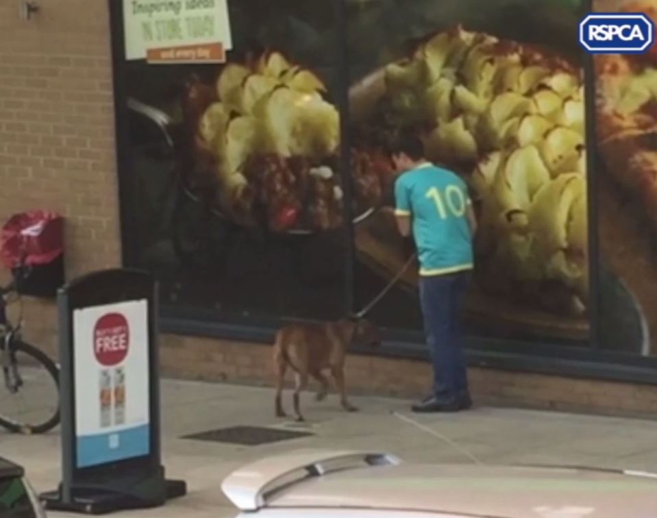  The man is seen outside the Co-op in Holloway punching his dog in the back