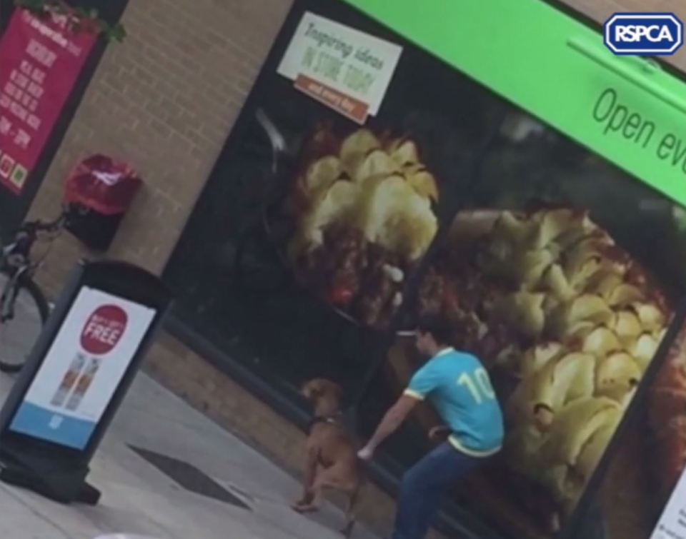  The man repeatedly punches the animal to get it to sit down