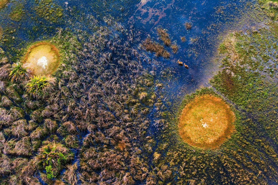  The natural beauty of the Okavango Delta is revealed in this snap taken during the wet season