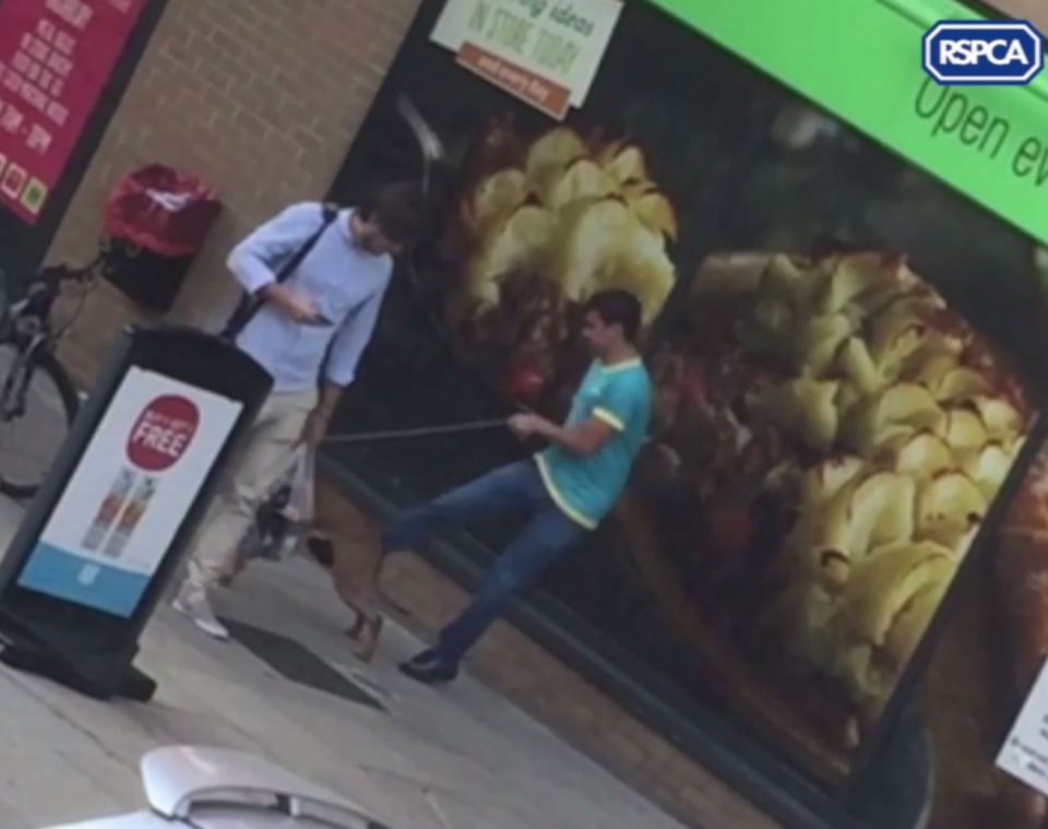  In the clip the owner is also seen to kick the dog when it approaches a passer-by