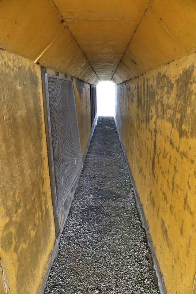  Images show a rusting generator, ammunition boxes and heavy metal sheet buildings still in place