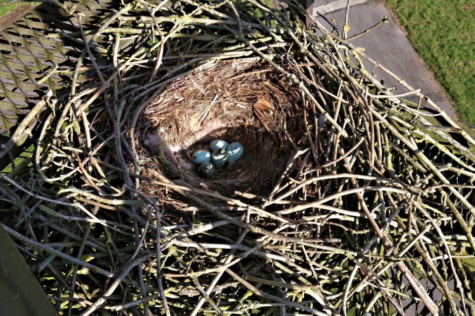  The base has slowly been taken over by mother nature as evidenced by a large bird’s nest resting at the top of one of the former watch towers