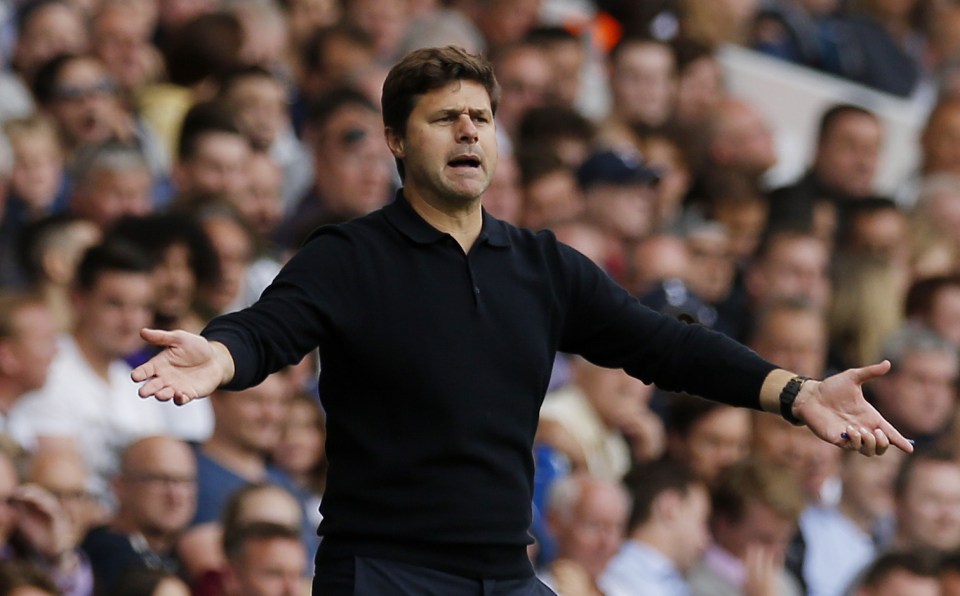  Spurs boss Mauricio Pochettino wants to bolster his midfield