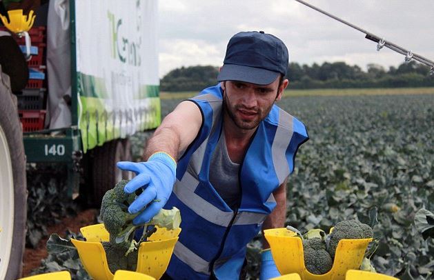  Britain's Hardest Workers ... 'job insecurity is a real feature of people’s lives'