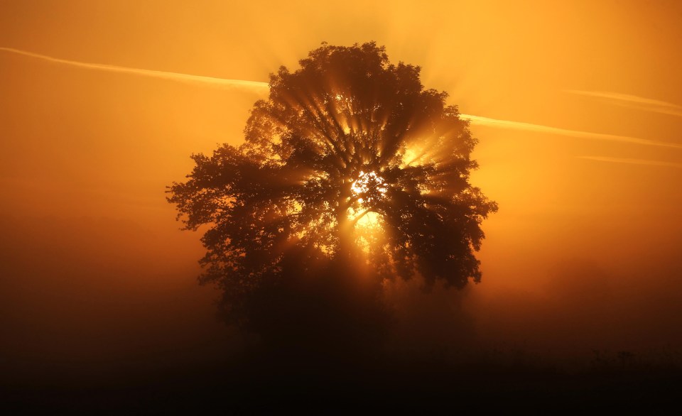  Somerset woke to the sun blasting through trees as summer makes a reappearance