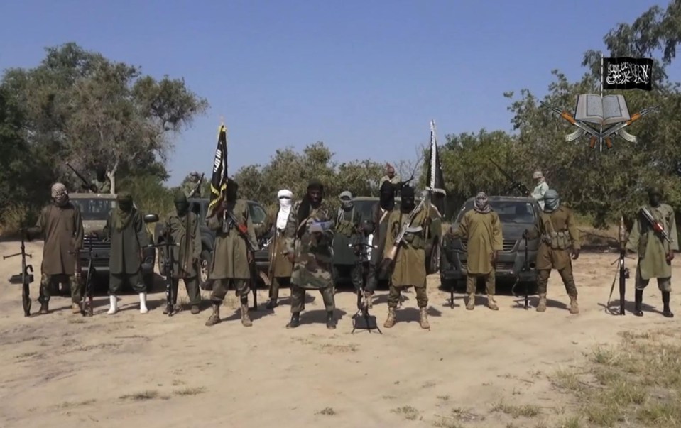  Boko Haram fighters abducted nearly 300 schoolgirls from a school in April 2014