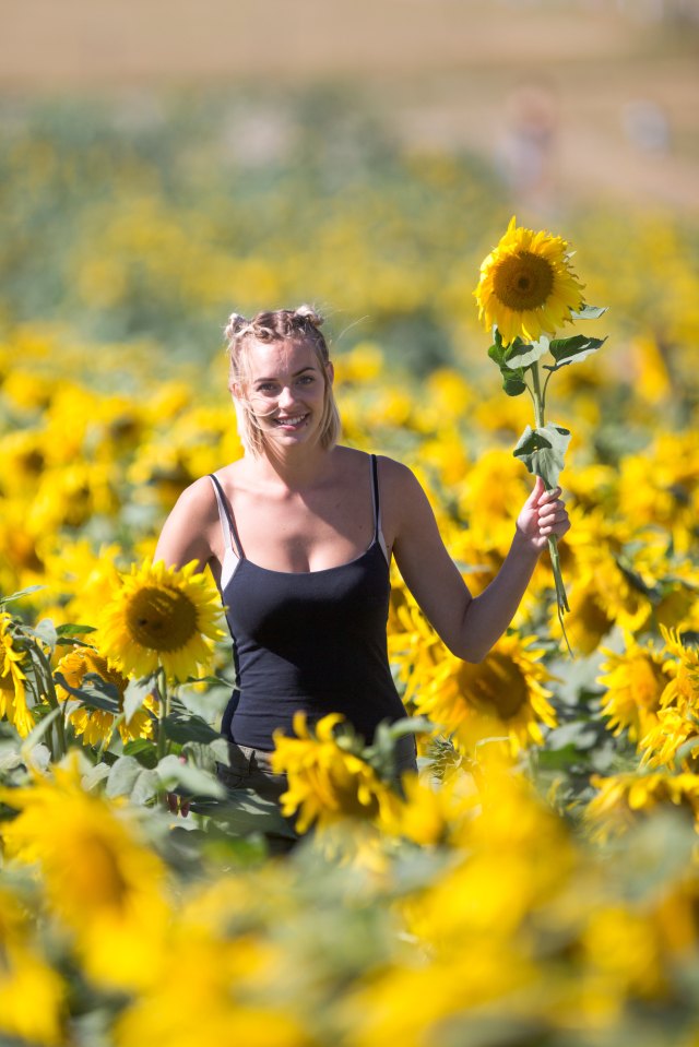  Student Jodie Hull enjoys the glorious weather in Herts this afternoon which is defying the gloomy British stereotype