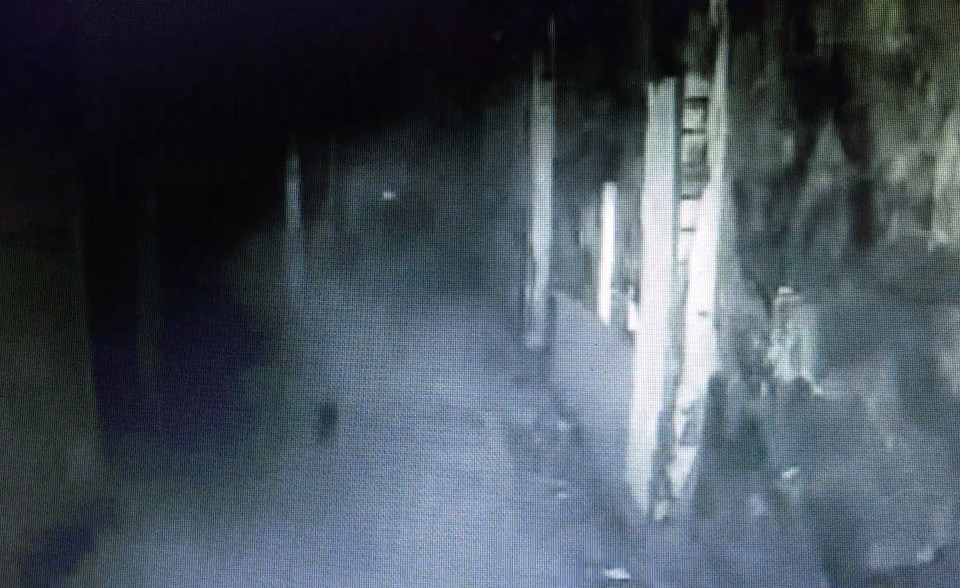  Footage shows a small white orb bouncing along the tunnel before reappearing as a haunting mist right in front of the camera