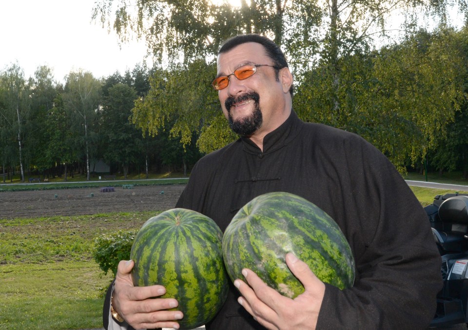  Steven Seagal was gifted with some melons