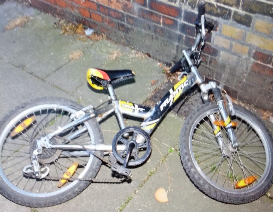  The bike was found in Redhill, Surrey, but was later said to have been 'kicking around for a couple of days'