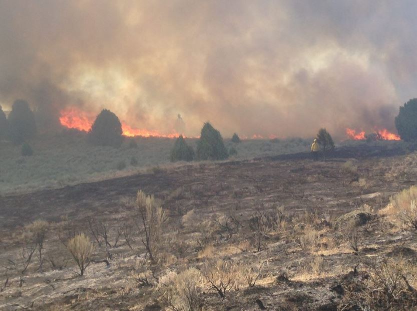  The spooky figure was snapped amidst wildfire flames on Jeanette Empey's land in Idaho, USA