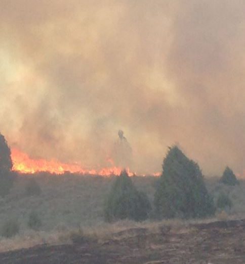  She explained how she believed the ghost was protecting the firefighters battling intense flames on her property