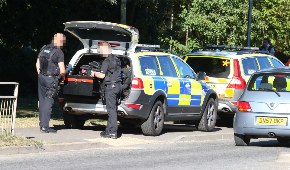 A firearm was recovered and a man was arrested on suspicion of possessing a firearm