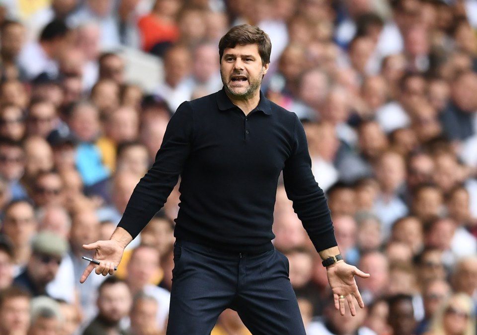  Mauricio Pochettino is hopeful of bringing in two men before the end of deadline day