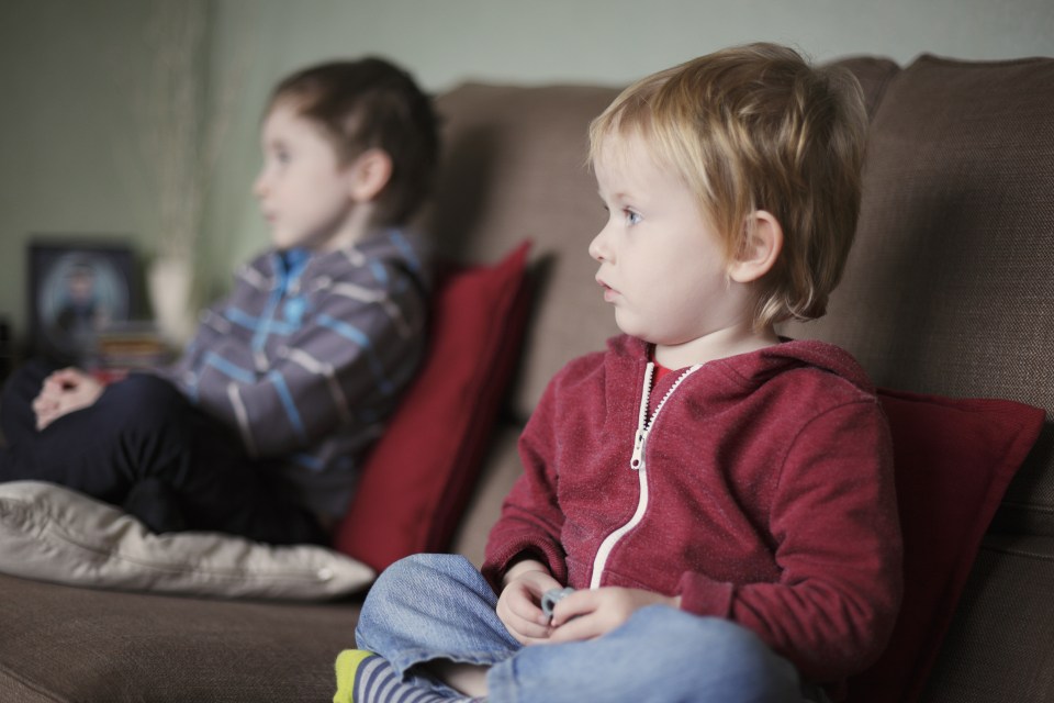 Two young brothers sat on a sofa, absorbed in watching television