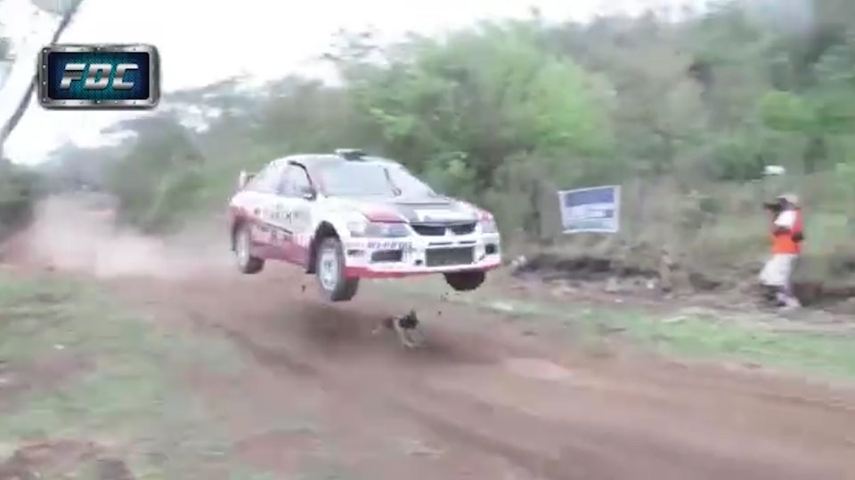  Pooch runs at the perfect point in the track for the car to dramatically sail above it