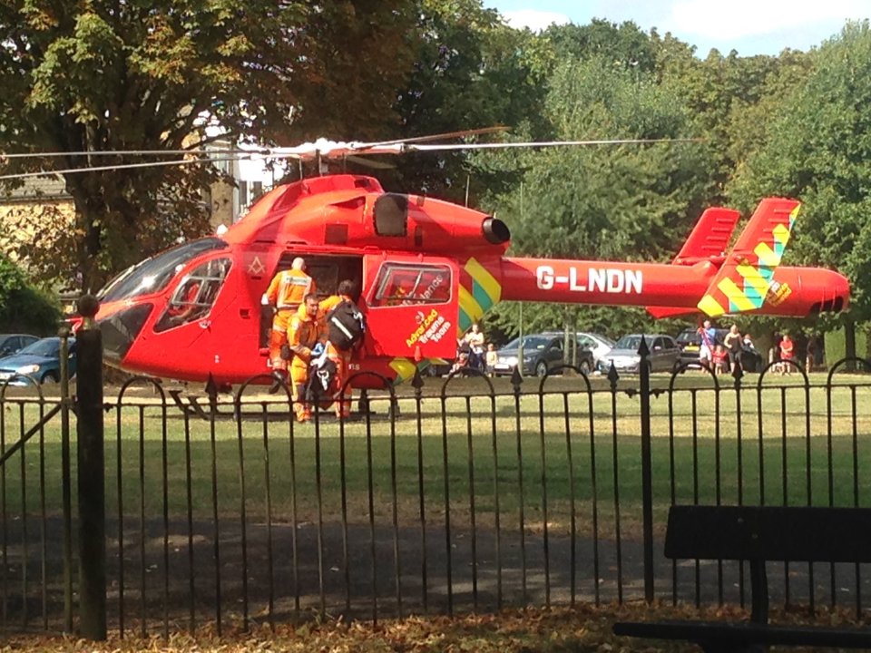  An air ambulance was used to transport three young girls - two of which were twins - to hospital after they were hit by the fleeing car