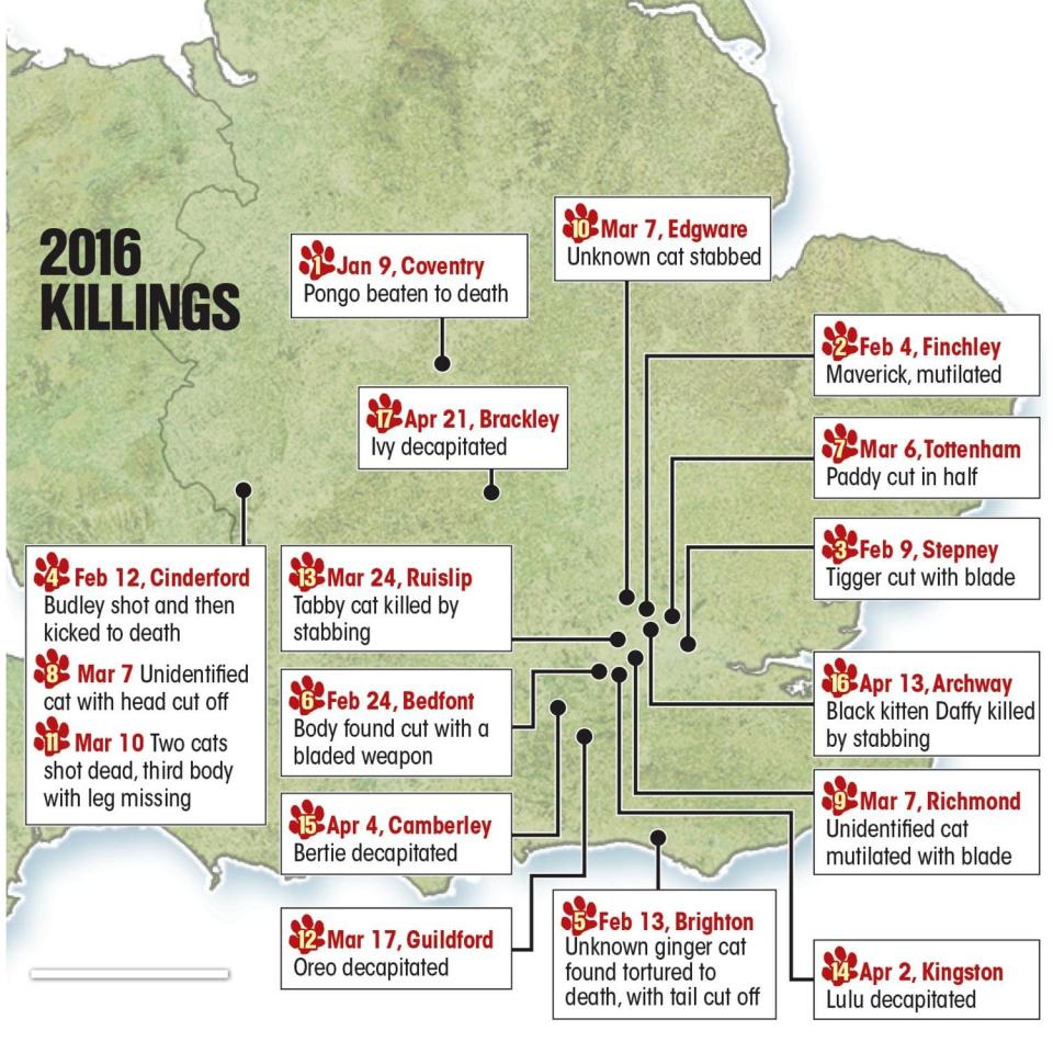  Just some of the previous killings by the so-called M25 Cat Ripper