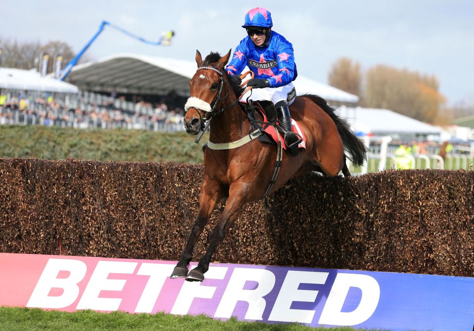  Cue Card had a tremendous season last year before an unlucky fall in the Gold Cup